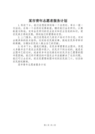 某市青年志愿者服务计划 