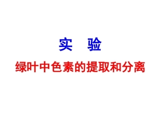 实验,绿叶中色素的提取和分离