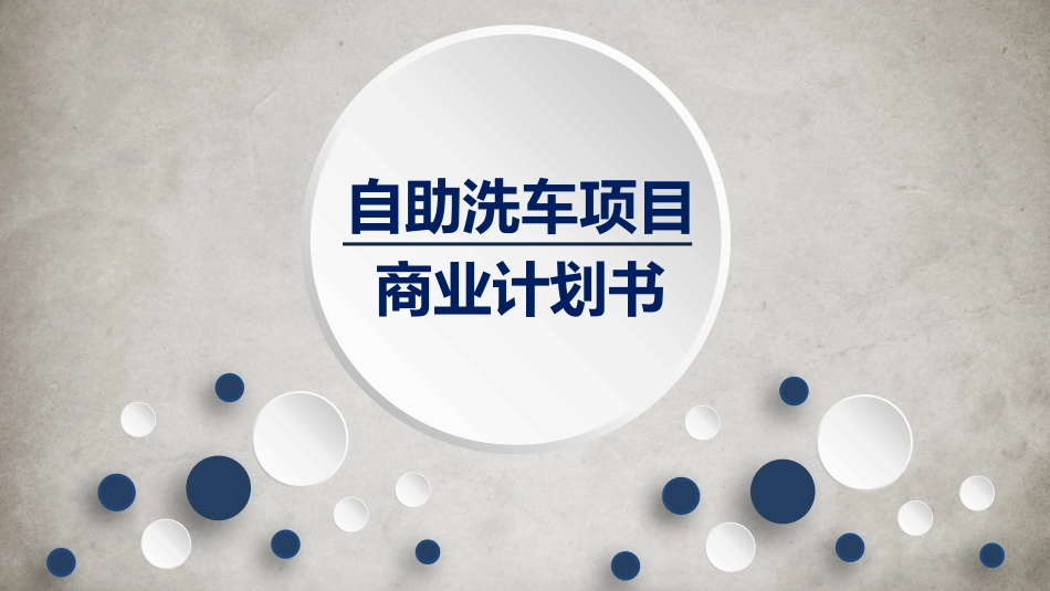 自助洗车项目商业计划书_第1页