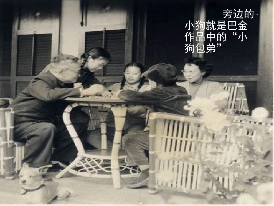 小狗包弟(3)_第2页