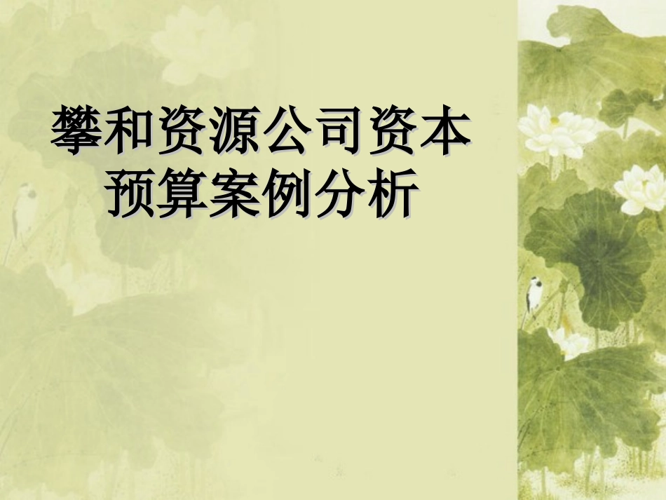 樊和资本预算_第1页