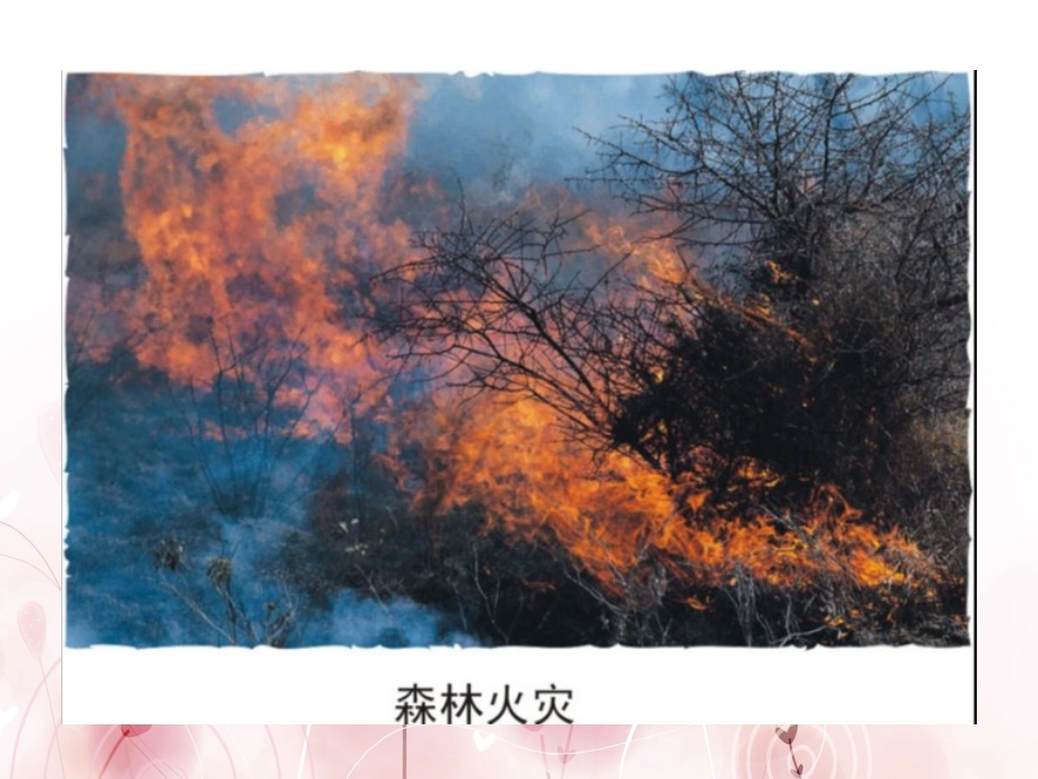 保护空气（公开课）_第3页