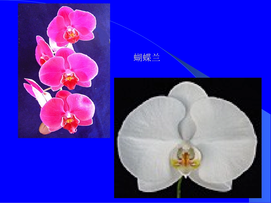 植物组织培养_第3页