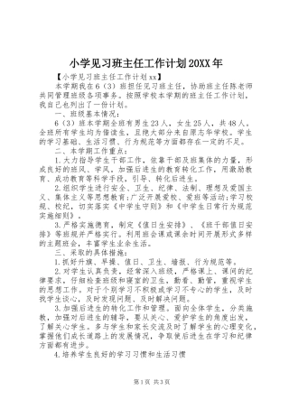 小学见习班主任工作计划20XX年