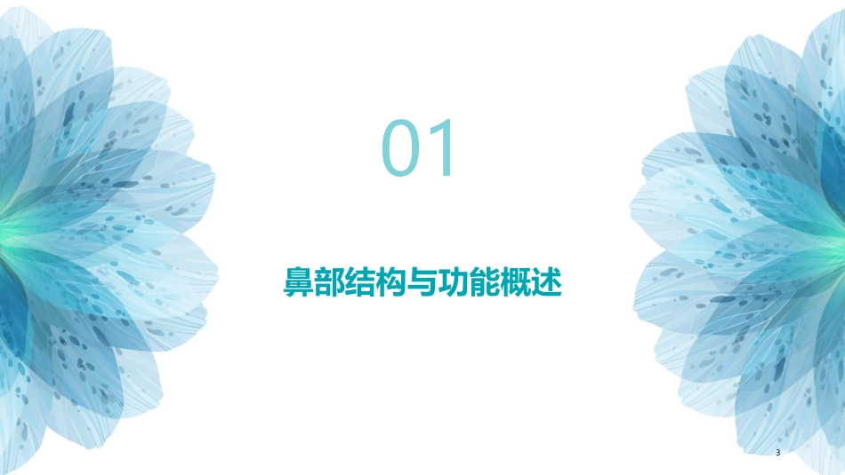 鼻部卫生护理常识课件_第3页