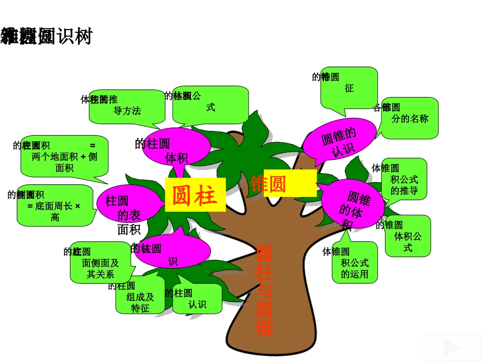 圆柱和圆锥知识树_第1页