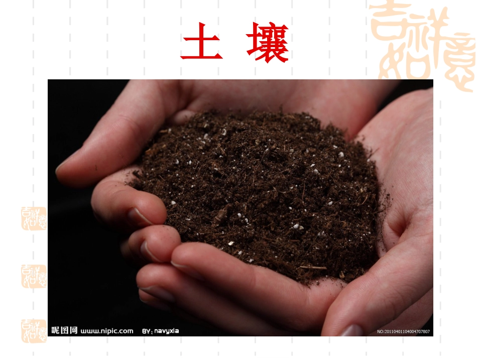 《我们周围的土壤》课件_第1页