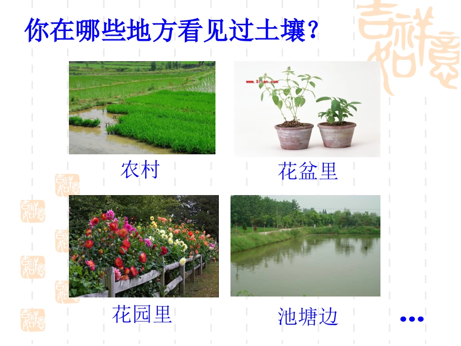 《我们周围的土壤》课件_第2页