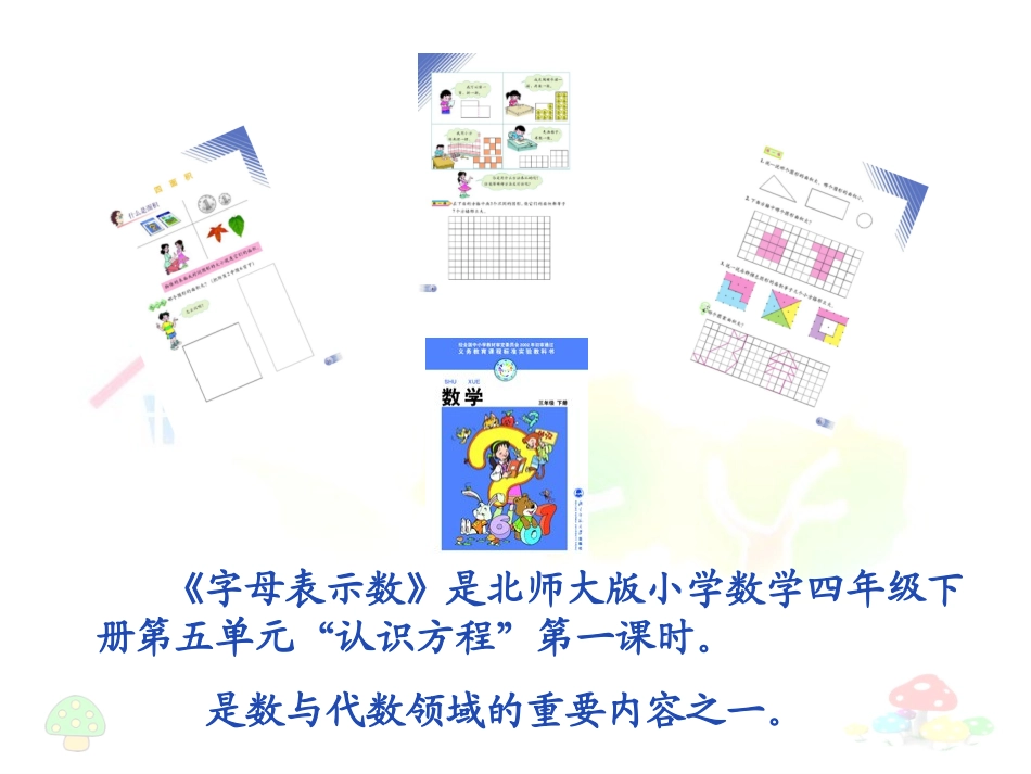 字母表示数说课课件_第2页