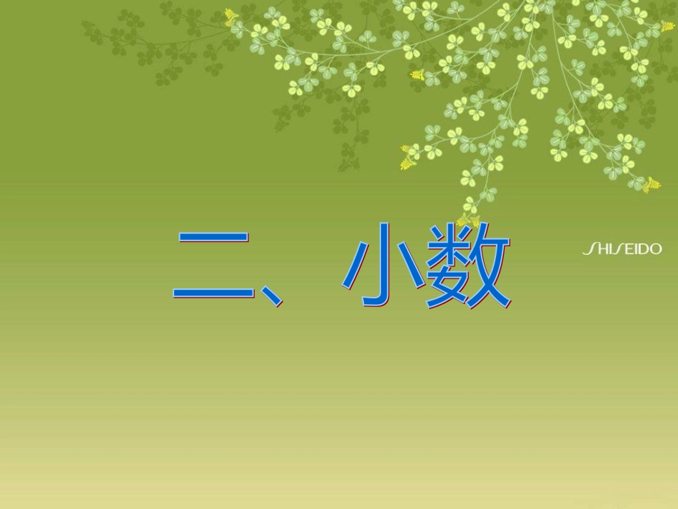 _数和代数—小数_第2页