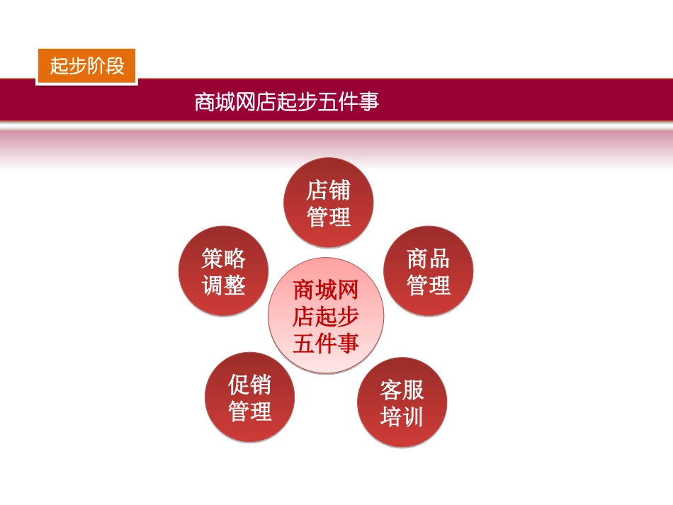 天猫商城运营方案_第3页