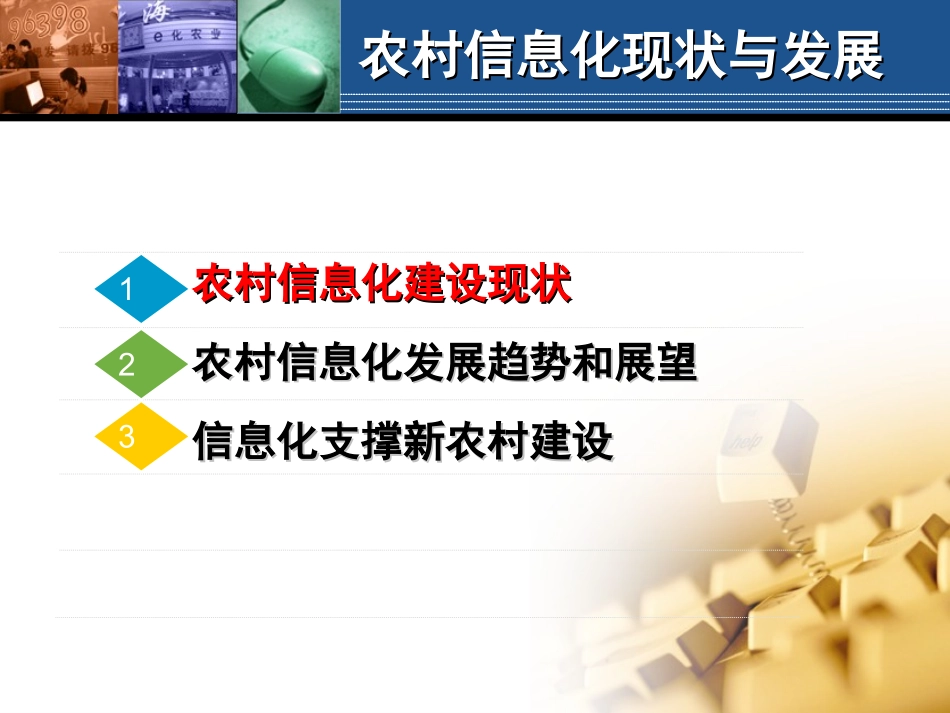 现代农业信息技术综述_第3页
