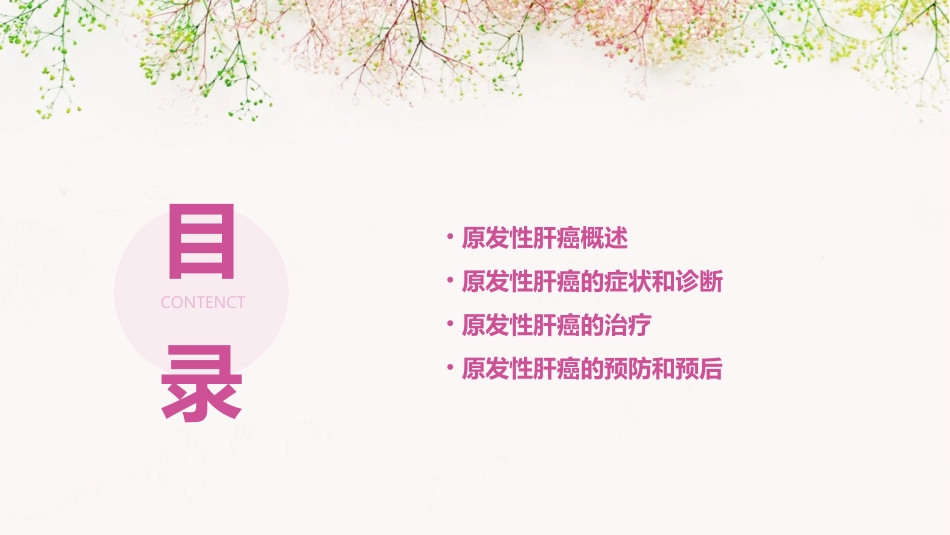 第十五章原发性肝癌课件_第2页