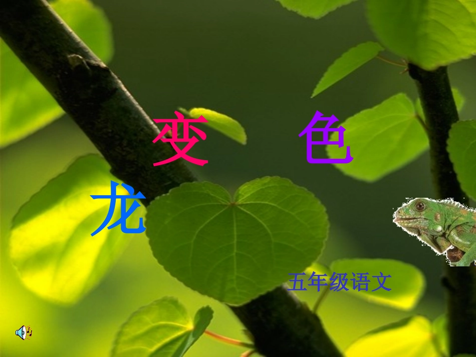 变色龙 (6)_第1页