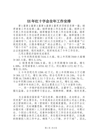 XX年红十字会全年工作安排 