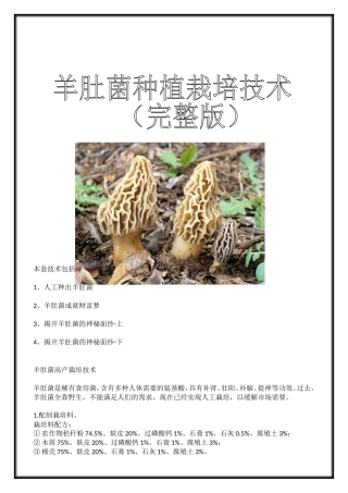 羊肚菌种植栽培技术(完整版)