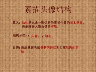 素描头像结构分析