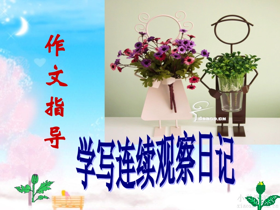 连续观察日记 指导_第1页