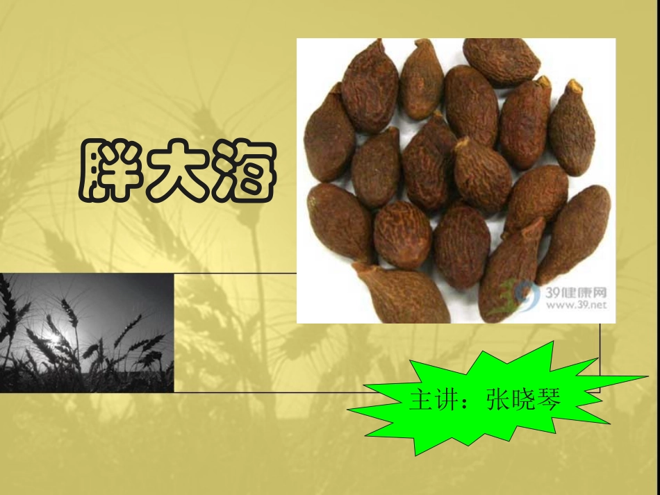 观察作文《神奇的胖大海》_第2页