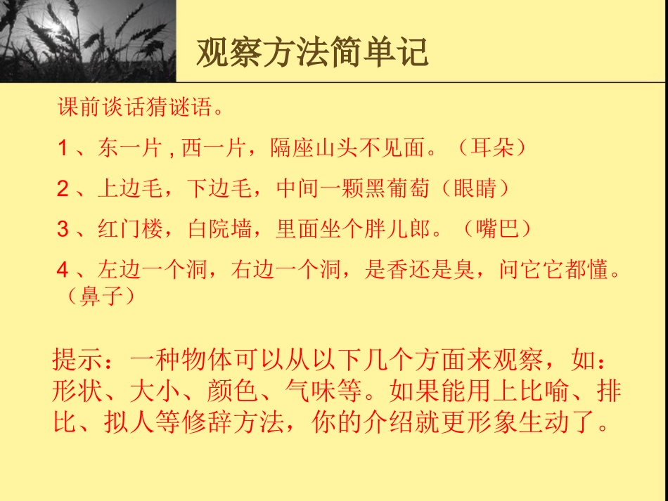 观察作文《神奇的胖大海》_第3页