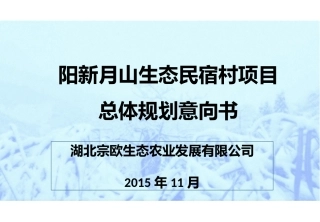 阳新月山生态民宿村项目总体规划意向书(项目申请稿)