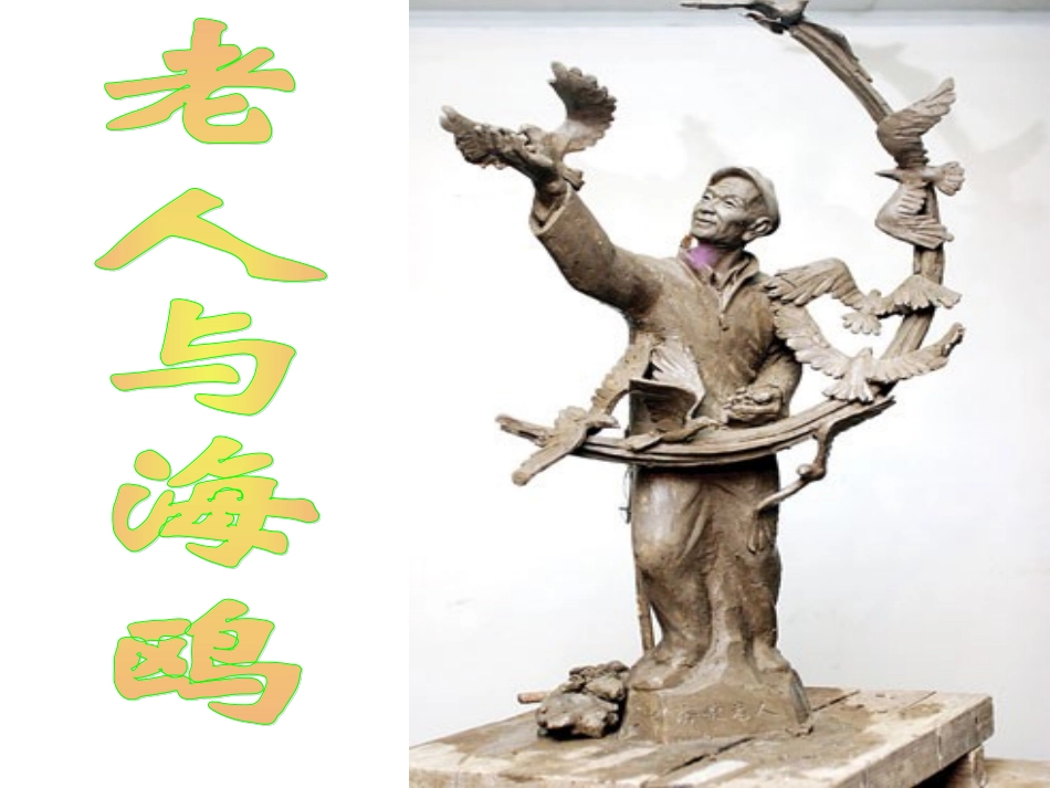 老人与海鸥3_第1页