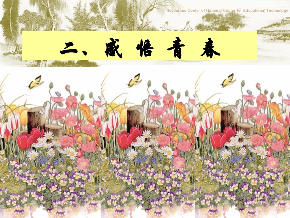 《感悟青春》参考课件1_第2页