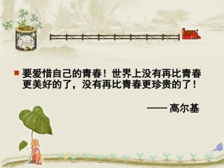 《感悟青春》参考课件1