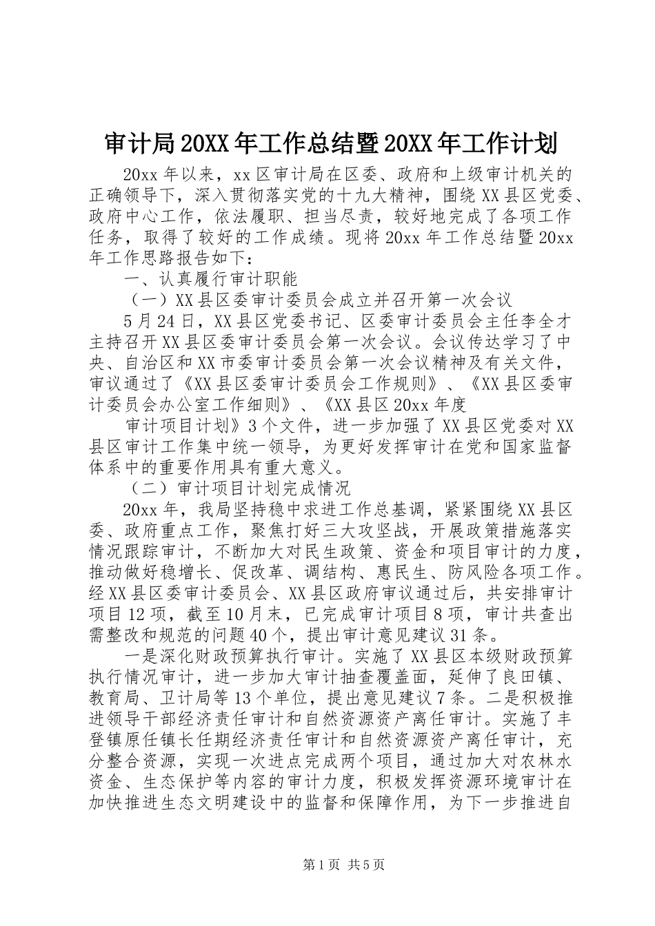 审计局20XX年工作总结暨20XX年工作计划_第1页