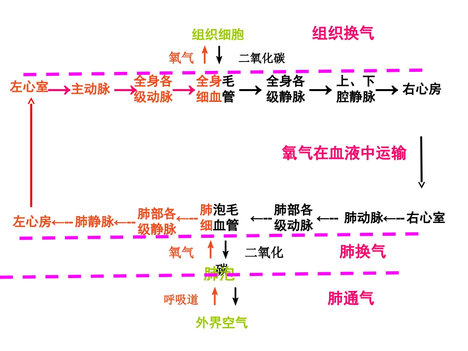复习，细胞获得氧气的过程_第1页