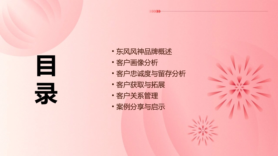 东风风神客户分析课件_第2页