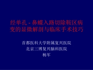 经单孔-鼻蝶入路切除鞍区病变的显微解剖与临床手术技巧