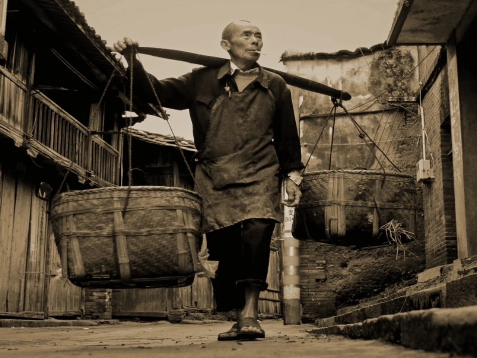 维护生态平衡PPT课件_第3页
