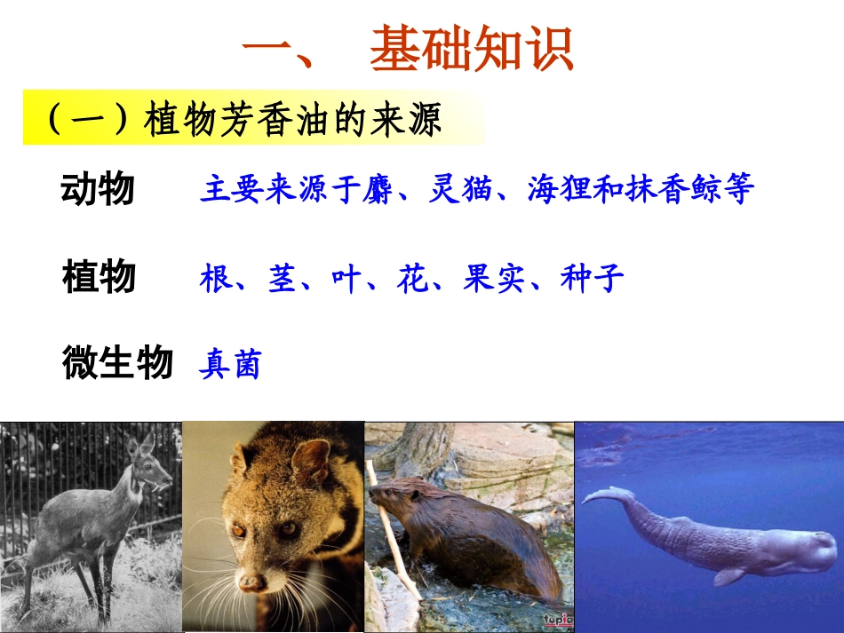 植物芳香油的提取(市公开课)_第3页