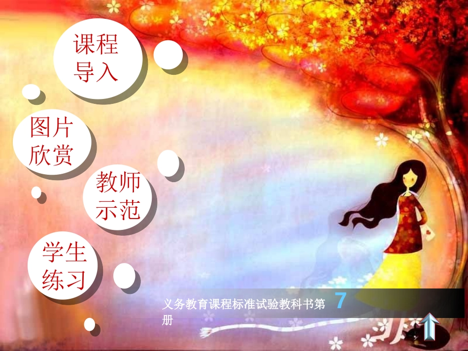 包的世界课件_第2页