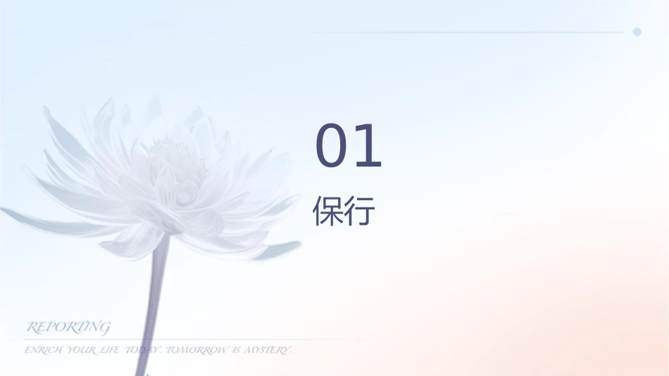 保险行业同业比较课件1_第3页
