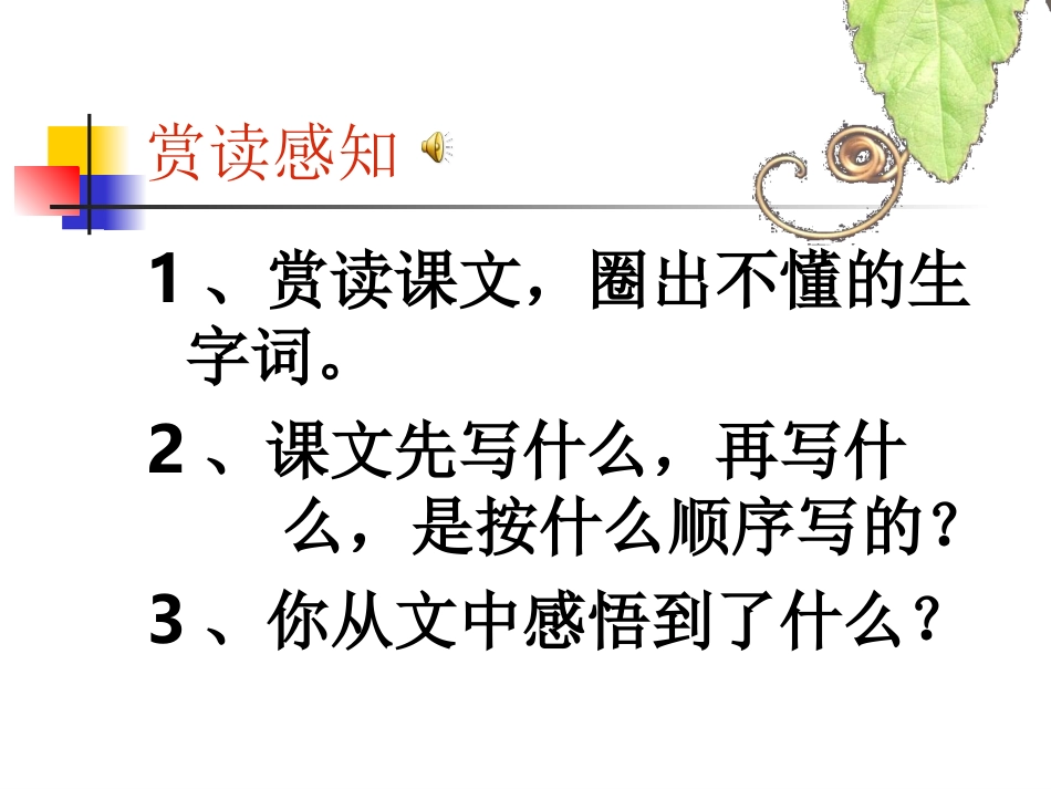 荷花课件--吕艳_第2页