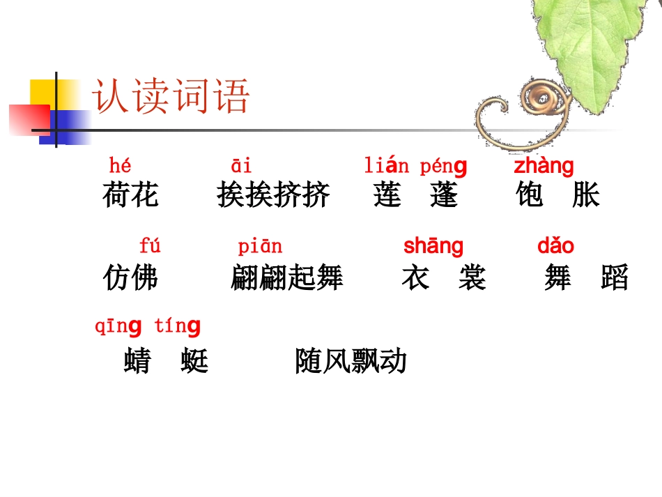 荷花课件--吕艳_第3页