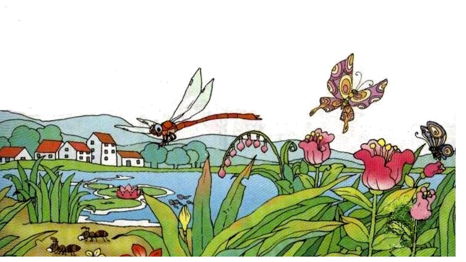 识字四第1课时_第2页