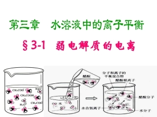 人教版《选修四》弱电解质的电离