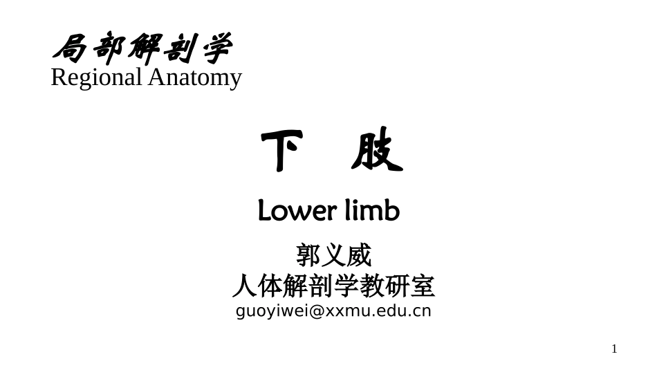 局部解剖学 下肢_第1页