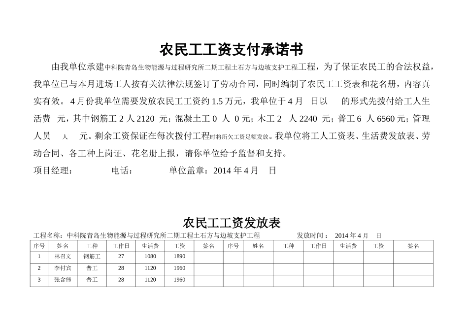 农民工工资发放表格_第3页