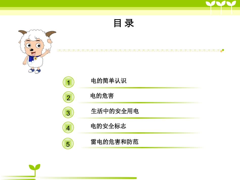小学生安全用电讲座课件_第2页
