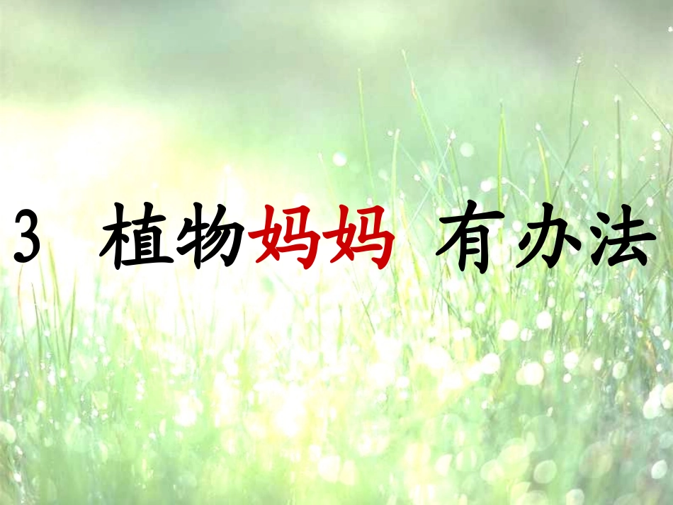 植物妈妈有办法课件(完整)_第1页