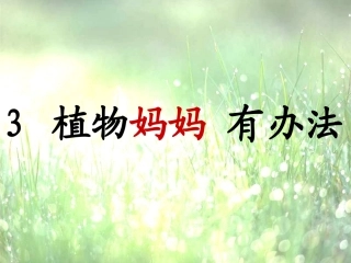 植物妈妈有办法课件(完整)