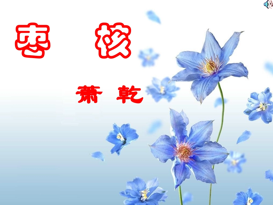 《枣核》课件—ling_663--苏教8上2C17张_第1页