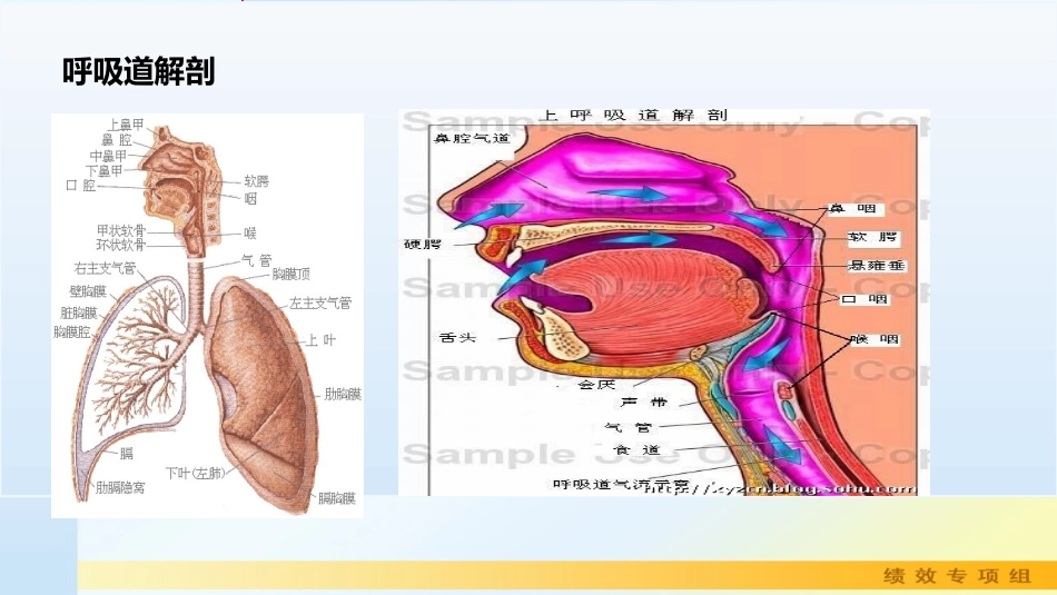 人工气道的管理(2016年3月10日)_第2页