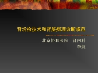 肾活检-讲座(简)