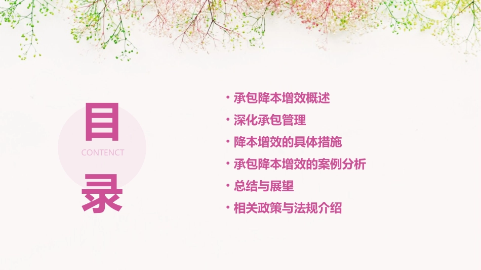 深化承包降本增效课件_第2页