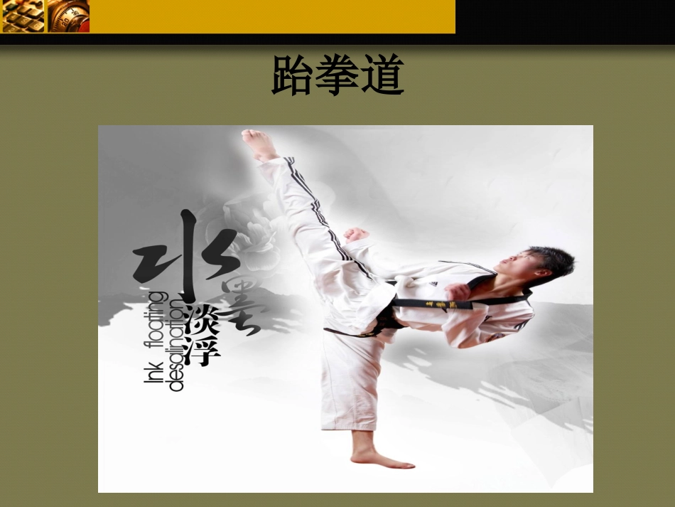 跆拳道概述 PPT_第1页